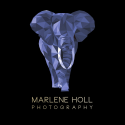 Marlene Holl Photography